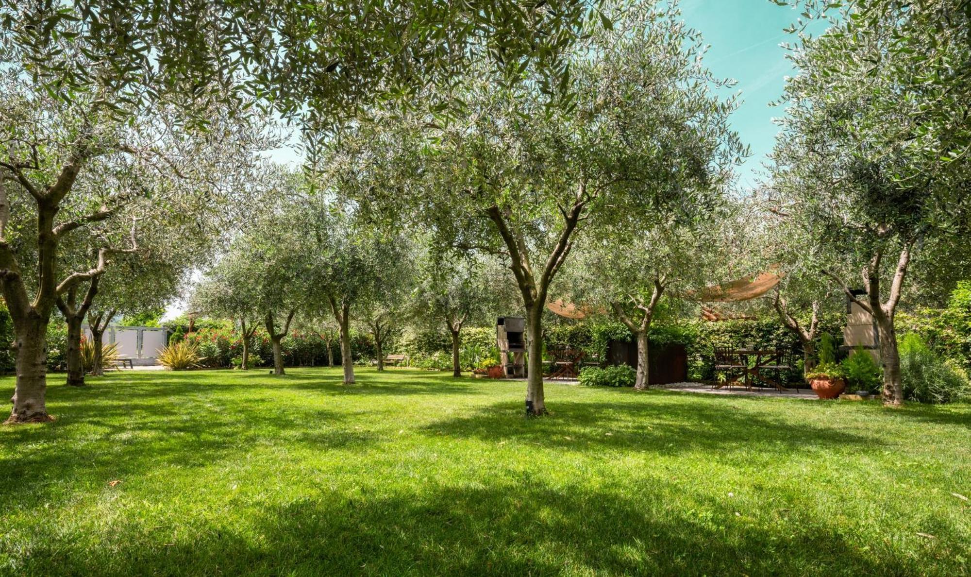 Casa 32 Loft - Garda Lake 托尔博莱 外观 照片